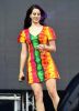 Lana_del_Rey___Performs_on_the_Pyramid_Stage_020.jpg