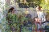 Filename=lmw_cnadids018.jpg
Filesize=101KiB
Dimensions=625x417
Date added=Jul 30, 2014 lmw_cnadids018.jpg